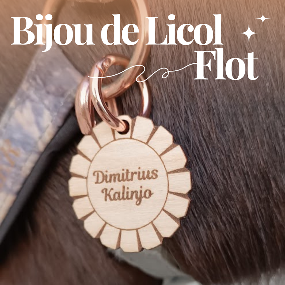 Bijou de licol en bois gravé - Flot