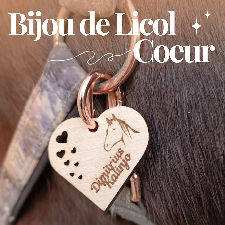 Bijou de licol en bois gravé - Coeur