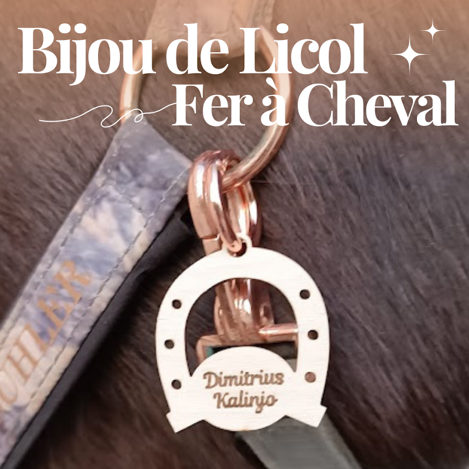 Bijou de licol en bois gravé - Fer à cheval